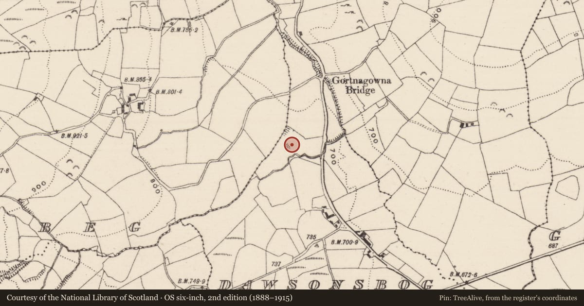 Ordnance Survey six-inch map, 2nd edition (1888–1915) covering the location of Enclosure, Dawsonsbog, County Tipperary North, with a pin at the register's coordinates