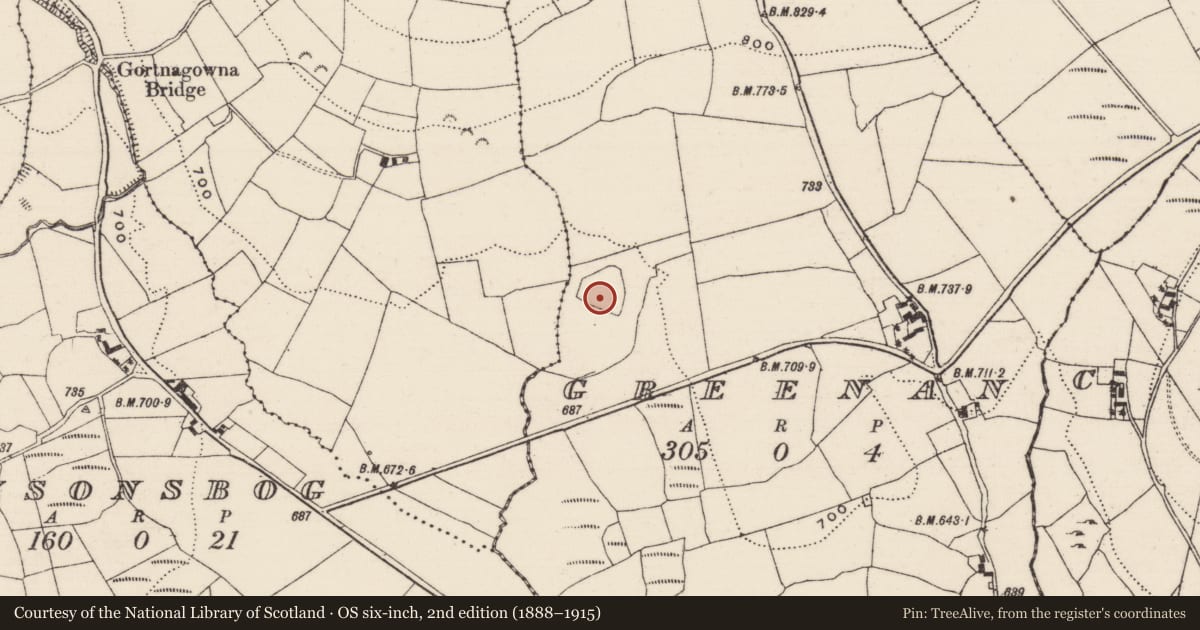 Ordnance Survey six-inch map, 2nd edition (1888–1915) covering the location of Fulacht fia, Greenan, County Tipperary North, with a pin at the register's coordinates