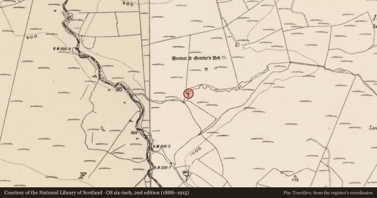Ordnance Survey six-inch map, 2nd edition (1888–1915) covering the location of Barrow - ring-barrow, Curreeny Commons, County Tipperary North, with a pin at the register's coordinates