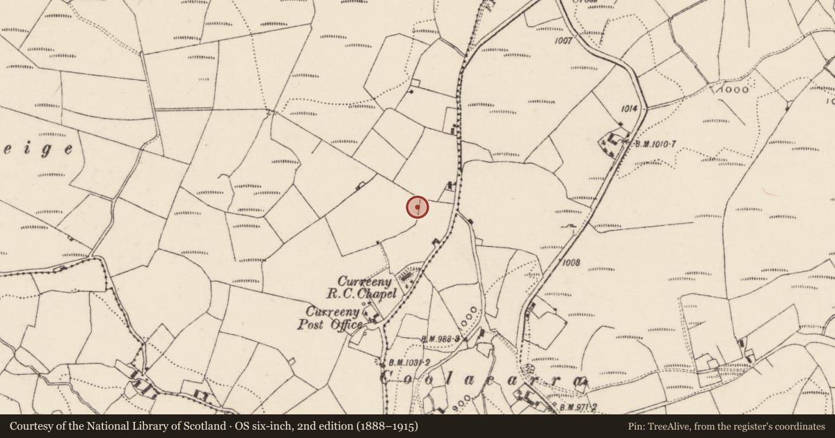 Ordnance Survey six-inch map, 2nd edition (1888–1915) covering the location of Barrow - ring-barrow, Curreeny Commons, County Tipperary North, with a pin at the register's coordinates