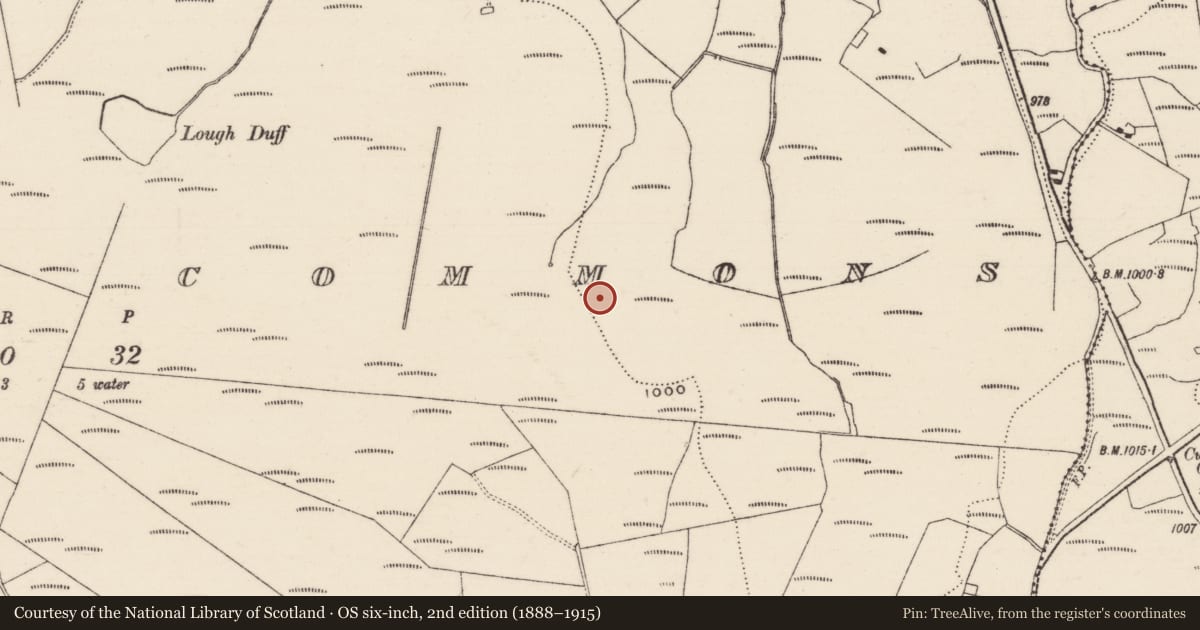 Ordnance Survey six-inch map, 2nd edition (1888–1915) covering the location of Standing stone, Curreeny Commons, County Tipperary North, with a pin at the register's coordinates