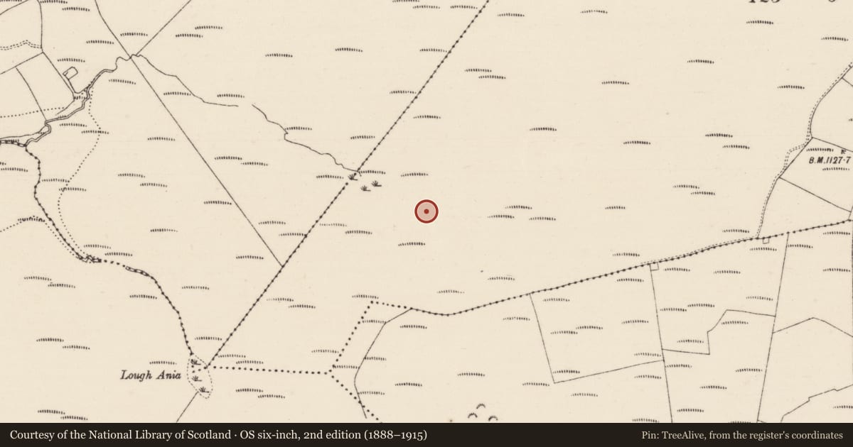 Ordnance Survey six-inch map, 2nd edition (1888–1915) covering the location of Enclosure, Commaun Beg, County Tipperary North, with a pin at the register's coordinates