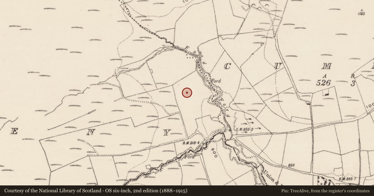 Ordnance Survey six-inch map, 2nd edition (1888–1915) covering the location of Megalithic structure, Curreeny, County Tipperary North, with a pin at the register's coordinates