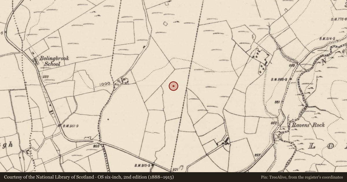 Ordnance Survey six-inch map, 2nd edition (1888–1915) covering the location of Standing stone, Foilnamuck, County Tipperary North, with a pin at the register's coordinates
