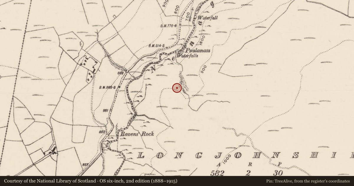 Ordnance Survey six-inch map, 2nd edition (1888–1915) covering the location of Hut site, Longjohnshill, County Tipperary North, with a pin at the register's coordinates