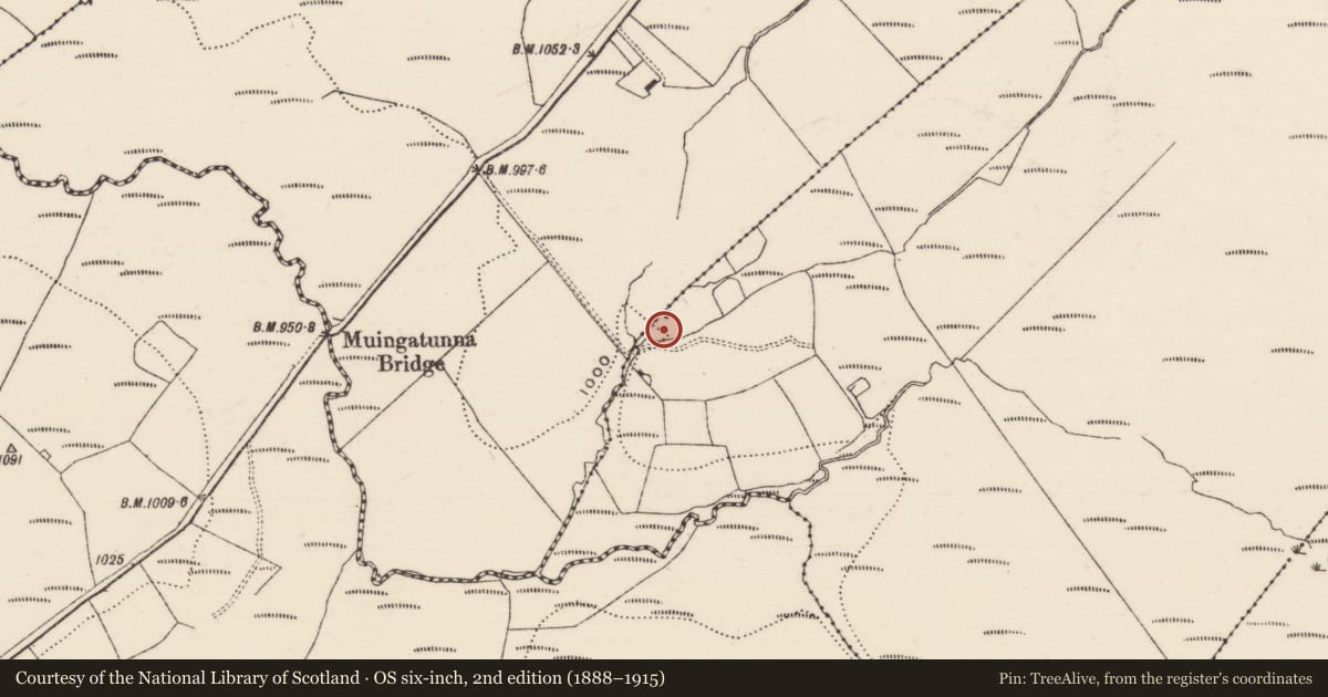 Ordnance Survey six-inch map, 2nd edition (1888–1915) covering the location of Barrow - ring-barrow, Gortahumma, County Tipperary North, with a pin at the register's coordinates
