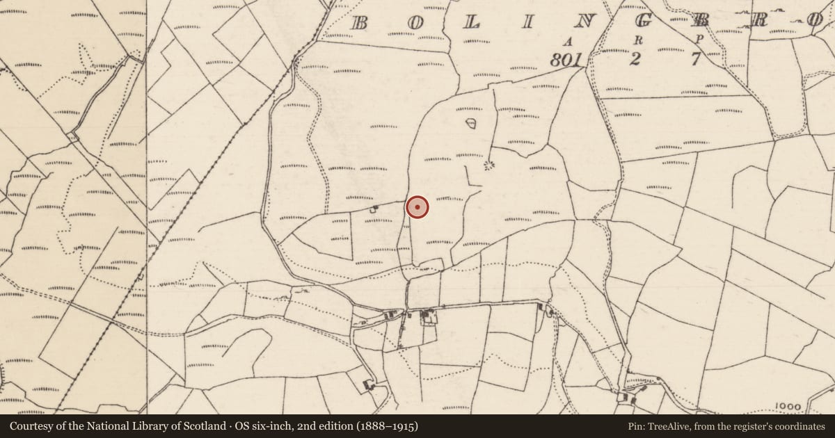 Ordnance Survey six-inch map, 2nd edition (1888–1915) covering the location of Cist, Bolingbrook, County Tipperary North, with a pin at the register's coordinates