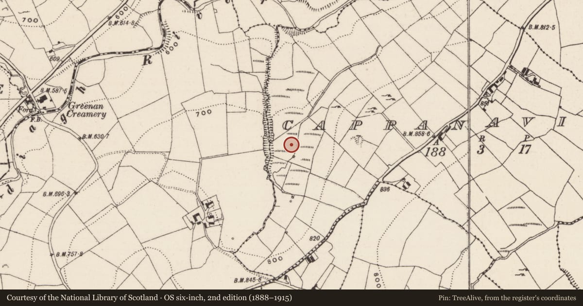 Ordnance Survey six-inch map, 2nd edition (1888–1915) covering the location of Fulacht fia, Cappanavilla, County Tipperary North, with a pin at the register's coordinates