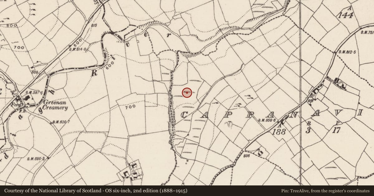 Ordnance Survey six-inch map, 2nd edition (1888–1915) covering the location of Barrow - ring-barrow, Cappanavilla, County Tipperary North, with a pin at the register's coordinates