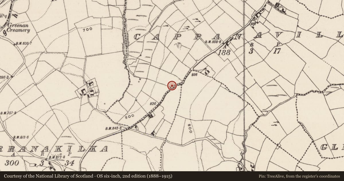 Ordnance Survey six-inch map, 2nd edition (1888–1915) covering the location of Barrow - ring-barrow, Cappanavilla, County Tipperary North, with a pin at the register's coordinates