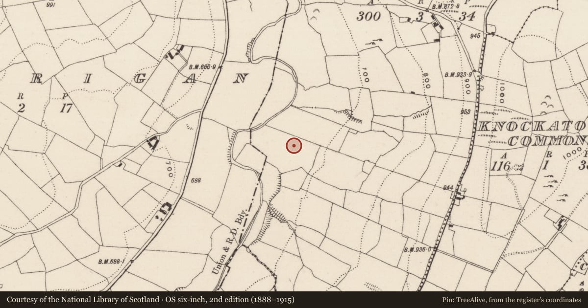 Ordnance Survey six-inch map, 2nd edition (1888–1915) covering the location of Barrow - ring-barrow, Garranakilka, County Tipperary North, with a pin at the register's coordinates