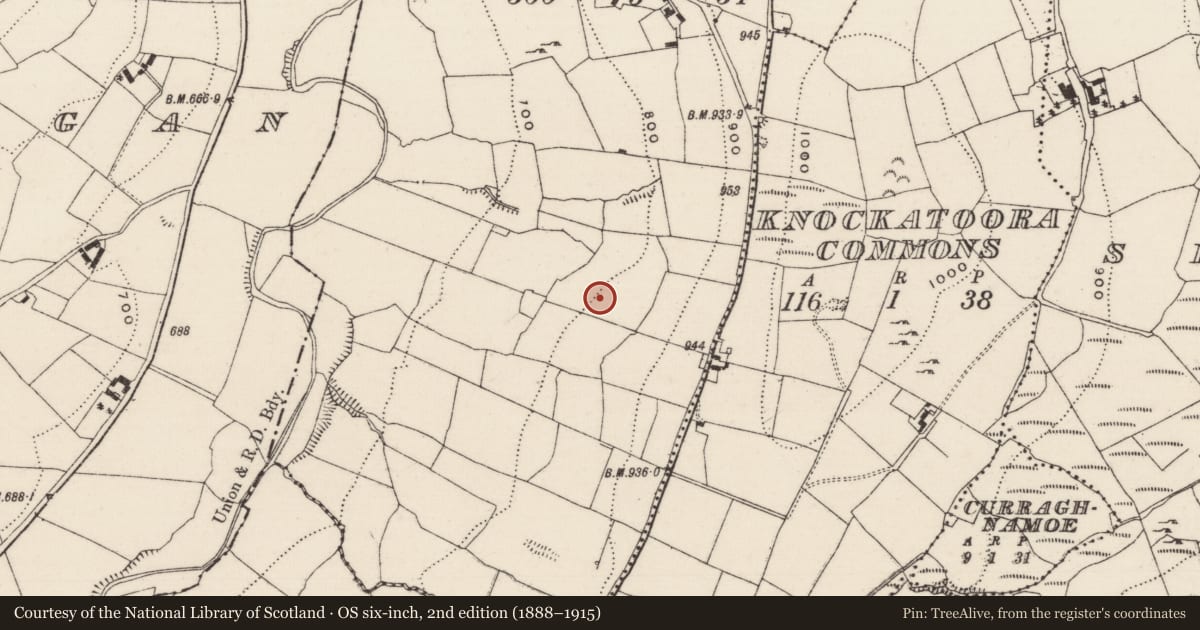 Ordnance Survey six-inch map, 2nd edition (1888–1915) covering the location of Barrow - ring-barrow, Garranakilka, County Tipperary North, with a pin at the register's coordinates
