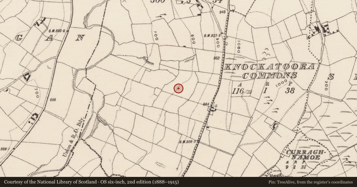 Ordnance Survey six-inch map, 2nd edition (1888–1915) covering the location of Barrow - ring-barrow, Garranakilka, County Tipperary North, with a pin at the register's coordinates