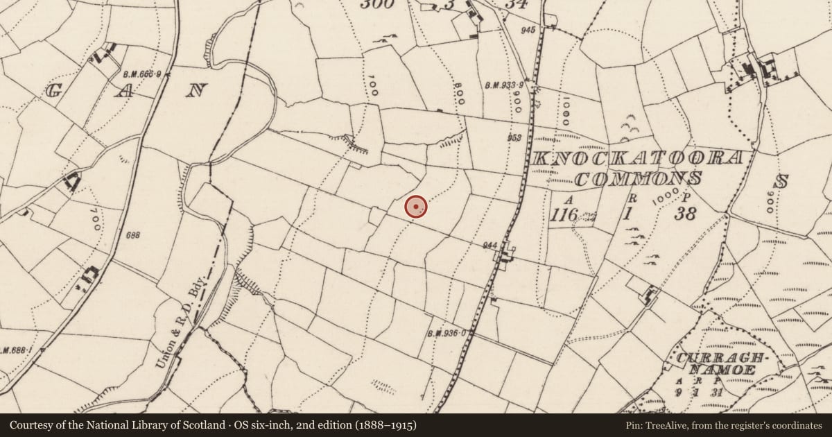 Ordnance Survey six-inch map, 2nd edition (1888–1915) covering the location of Barrow - ring-barrow, Garranakilka, County Tipperary North, with a pin at the register's coordinates