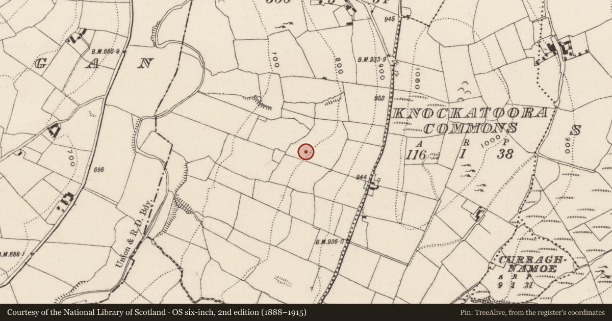 Ordnance Survey six-inch map, 2nd edition (1888–1915) covering the location of Barrow - ring-barrow, Garranakilka, County Tipperary North, with a pin at the register's coordinates