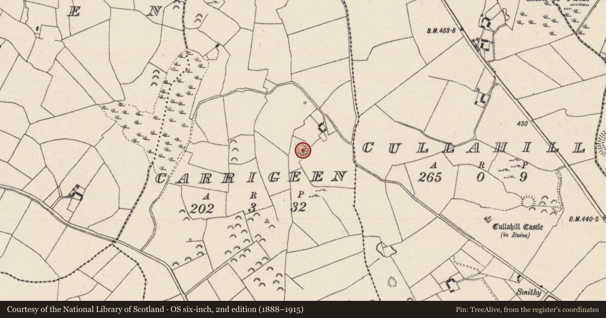 Ordnance Survey six-inch map, 2nd edition (1888–1915) covering the location of Enclosure, Carrigeen (Glenkeen Par.), County Tipperary North, with a pin at the register's coordinates