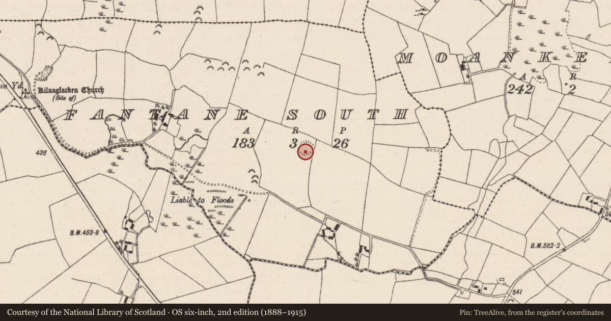 Ordnance Survey six-inch map, 2nd edition (1888–1915) covering the location of Ringfort - rath, Fantane South, County Tipperary North, with a pin at the register's coordinates