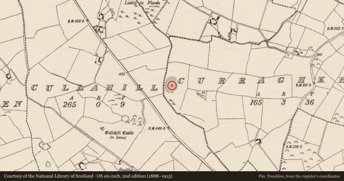 Ordnance Survey six-inch map, 2nd edition (1888–1915) covering the location of Castle - ringwork, Cullahill (Glenkeen Par.), Curraghkeal, County Tipperary North, with a pin at the register's coordinates