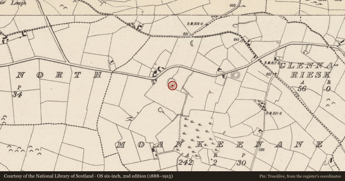 Ordnance Survey six-inch map, 2nd edition (1888–1915) covering the location of Ringfort - rath, Moankeenane, County Tipperary North, with a pin at the register's coordinates