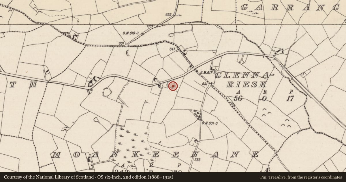 Ordnance Survey six-inch map, 2nd edition (1888–1915) covering the location of Ringfort - rath, Moankeenane, County Tipperary North, with a pin at the register's coordinates