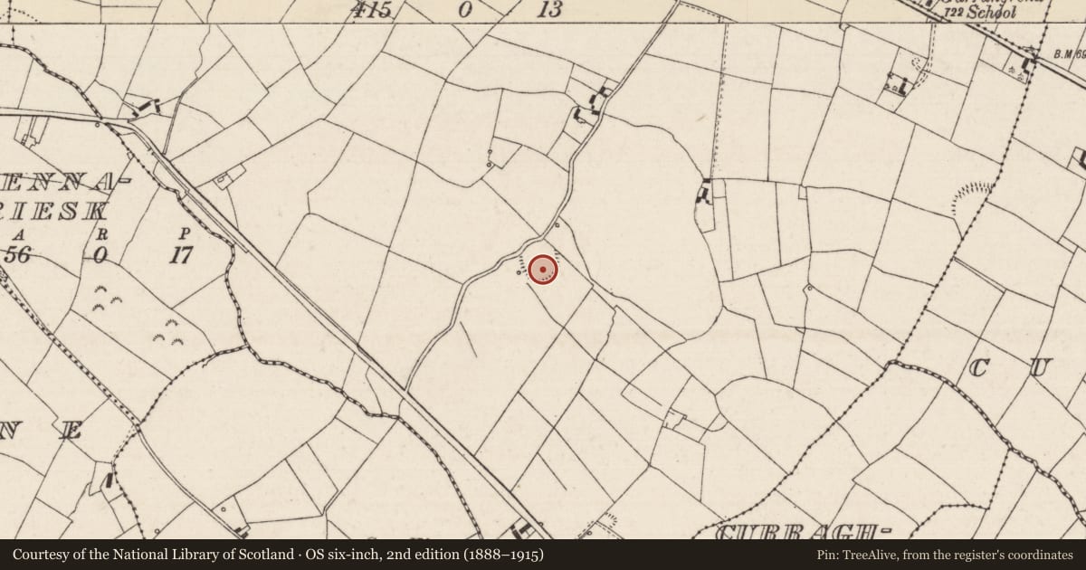 Ordnance Survey six-inch map, 2nd edition (1888–1915) covering the location of Ringfort - rath, Garrangrena Lower, County Tipperary North, with a pin at the register's coordinates