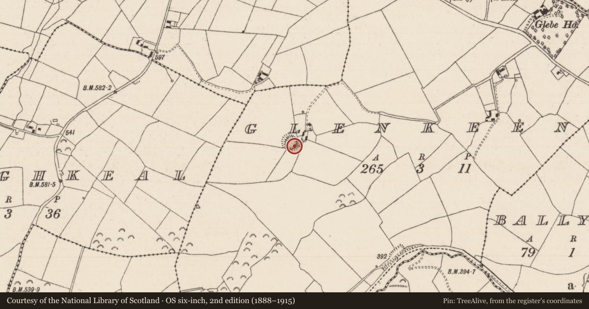 Ordnance Survey six-inch map, 2nd edition (1888–1915) covering the location of Ringfort - rath, Glenkeen, County Tipperary North, with a pin at the register's coordinates