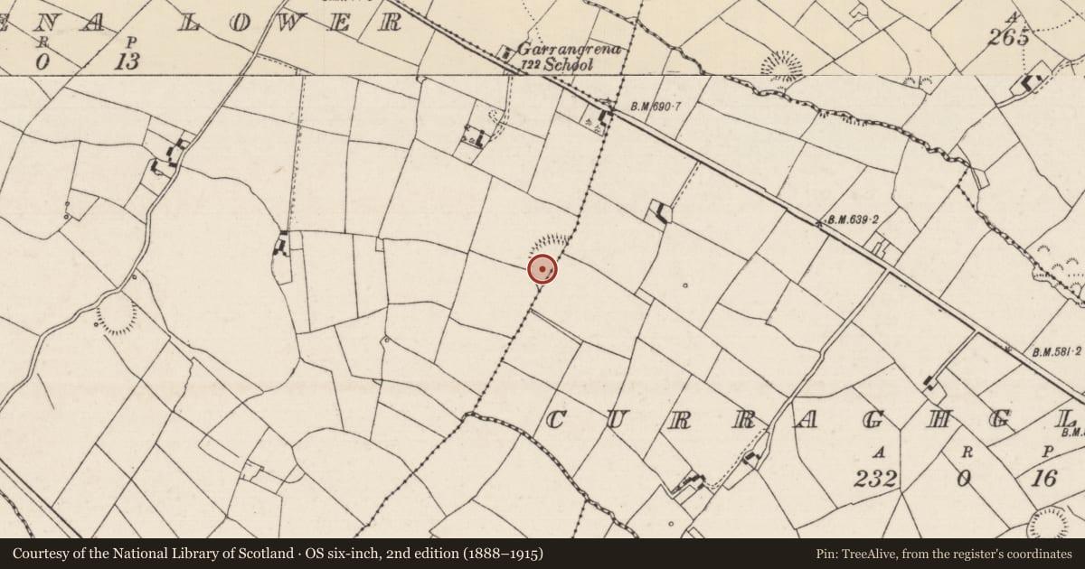 Ordnance Survey six-inch map, 2nd edition (1888–1915) covering the location of Enclosure, Curraghglass (Glenkeen Par.), Garrangrena Lower, County Tipperary North, with a pin at the register's coordinates