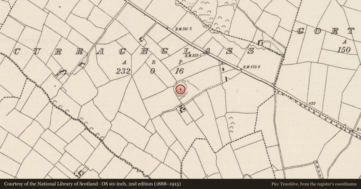 Ordnance Survey six-inch map, 2nd edition (1888–1915) covering the location of Ringfort - rath, Curraghglass (Glenkeen Par.), County Tipperary North, with a pin at the register's coordinates