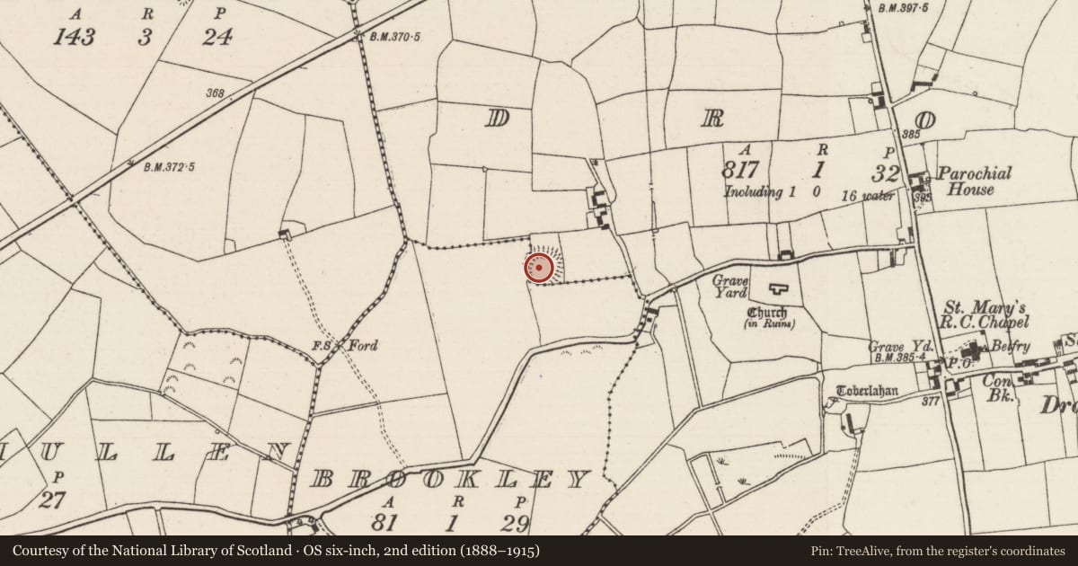 Ordnance Survey six-inch map, 2nd edition (1888–1915) covering the location of Castle - ringwork, Brookley, Drom, County Tipperary North, with a pin at the register's coordinates