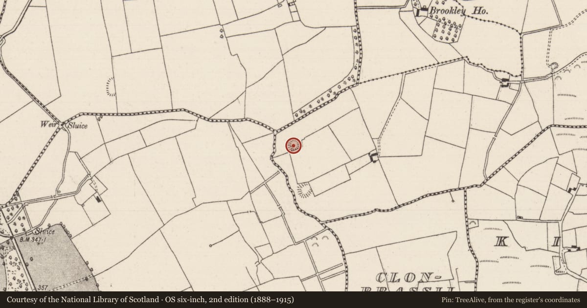 Ordnance Survey six-inch map, 2nd edition (1888–1915) covering the location of Ringfort - rath, Drom, County Tipperary North, with a pin at the register's coordinates