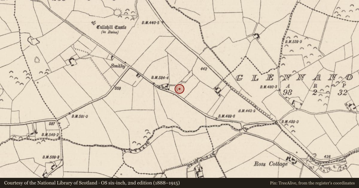 Ordnance Survey six-inch map, 2nd edition (1888–1915) covering the location of Enclosure, Cullahill (Glenkeen Par.), County Tipperary North, with a pin at the register's coordinates