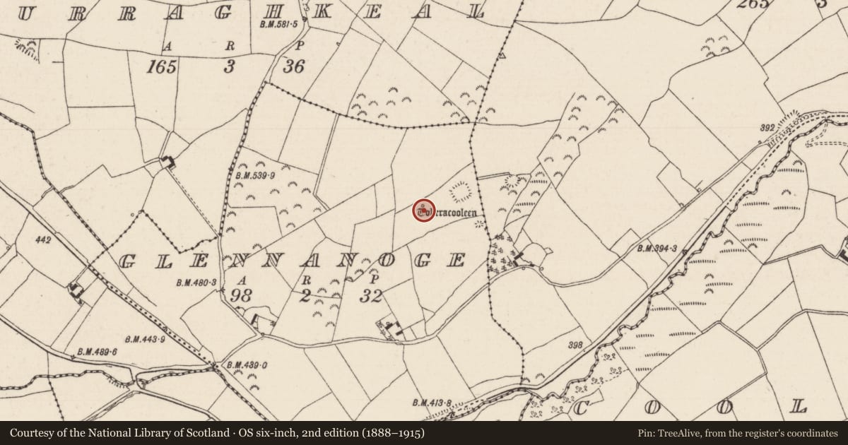 Ordnance Survey six-inch map, 2nd edition (1888–1915) covering the location of Well, Glennanoge, County Tipperary North, with a pin at the register's coordinates