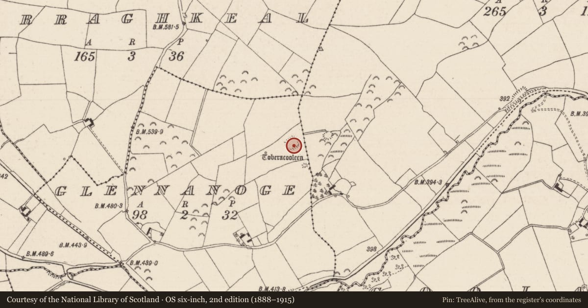 Ordnance Survey six-inch map, 2nd edition (1888–1915) covering the location of Moated site, Glennanoge, County Tipperary North, with a pin at the register's coordinates