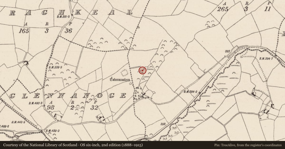 Ordnance Survey six-inch map, 2nd edition (1888–1915) covering the location of Ringfort - rath, Glenkeen, County Tipperary North, with a pin at the register's coordinates