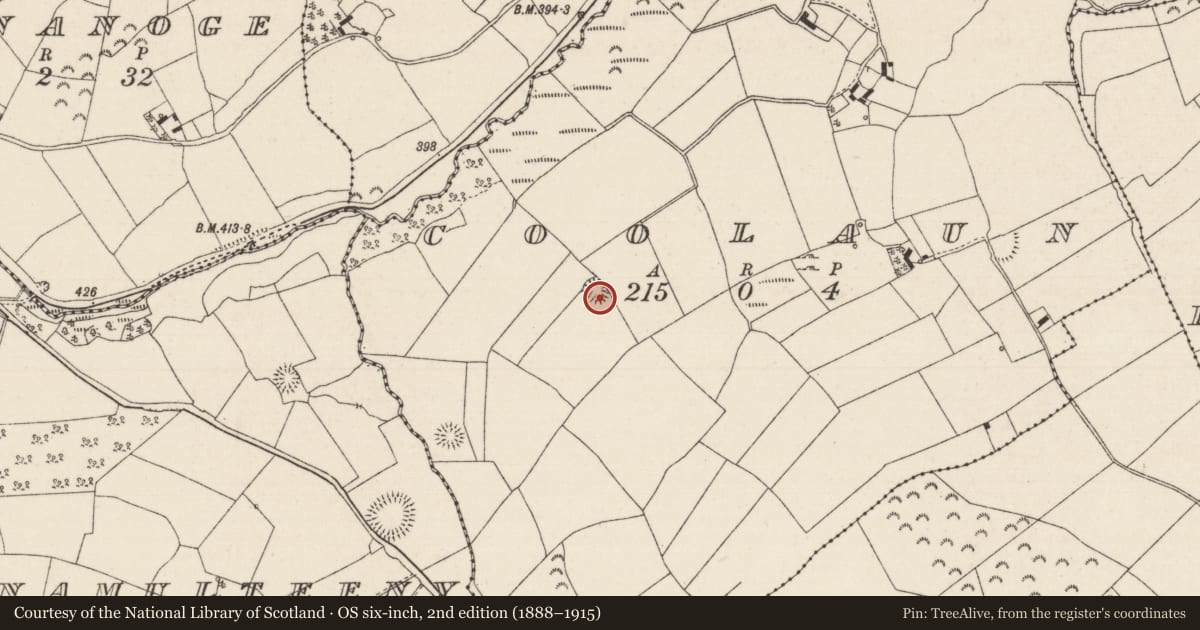 Ordnance Survey six-inch map, 2nd edition (1888–1915) covering the location of Enclosure, Coolaun, County Tipperary North, with a pin at the register's coordinates