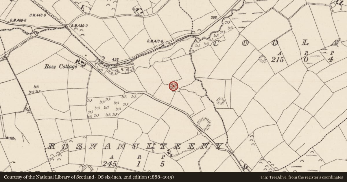Ordnance Survey six-inch map, 2nd edition (1888–1915) covering the location of Enclosure, Rosnamulteeny, County Tipperary North, with a pin at the register's coordinates