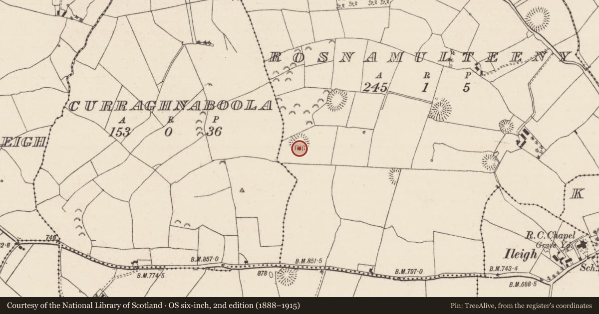 Ordnance Survey six-inch map, 2nd edition (1888–1915) covering the location of Enclosure, Rosnamulteeny, County Tipperary North, with a pin at the register's coordinates