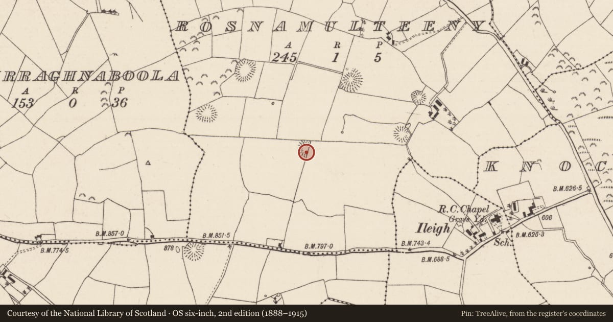 Ordnance Survey six-inch map, 2nd edition (1888–1915) covering the location of Enclosure, Rosnamulteeny, County Tipperary North, with a pin at the register's coordinates