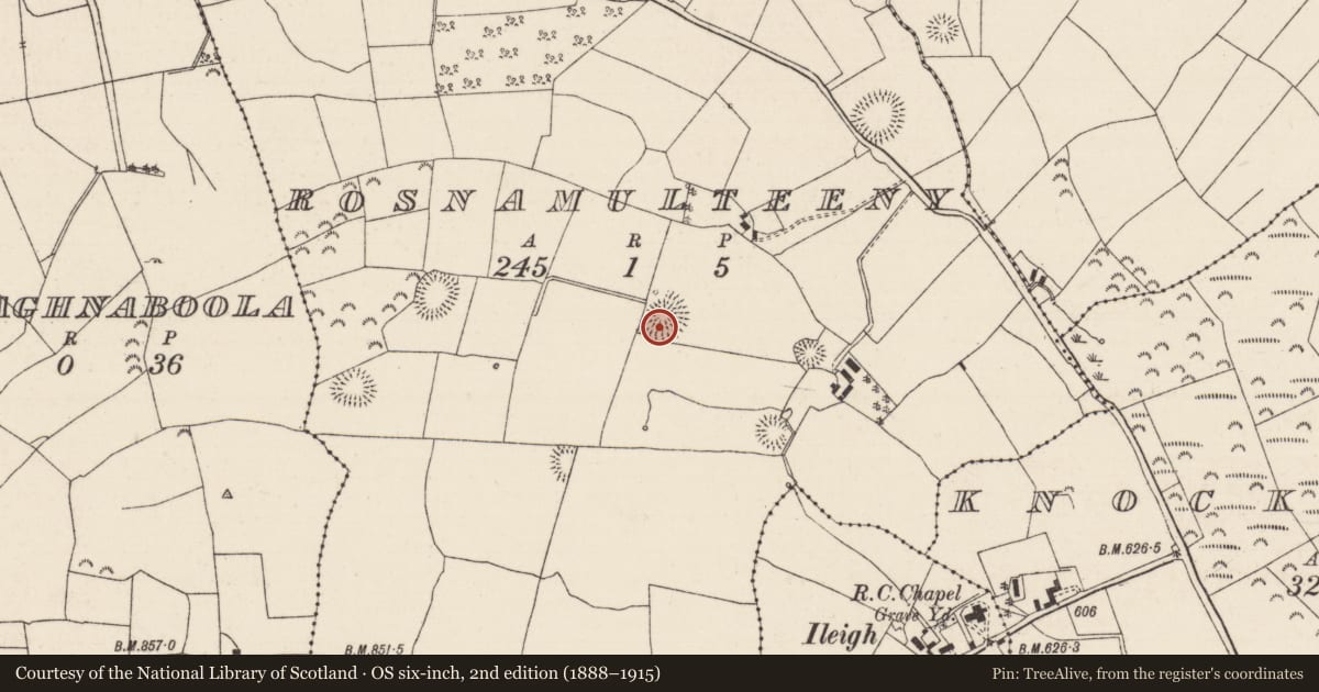 Ordnance Survey six-inch map, 2nd edition (1888–1915) covering the location of Ringfort - rath, Rosnamulteeny, County Tipperary North, with a pin at the register's coordinates
