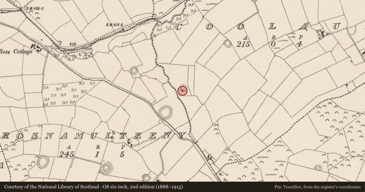 Ordnance Survey six-inch map, 2nd edition (1888–1915) covering the location of Enclosure, Coolaun, County Tipperary North, with a pin at the register's coordinates