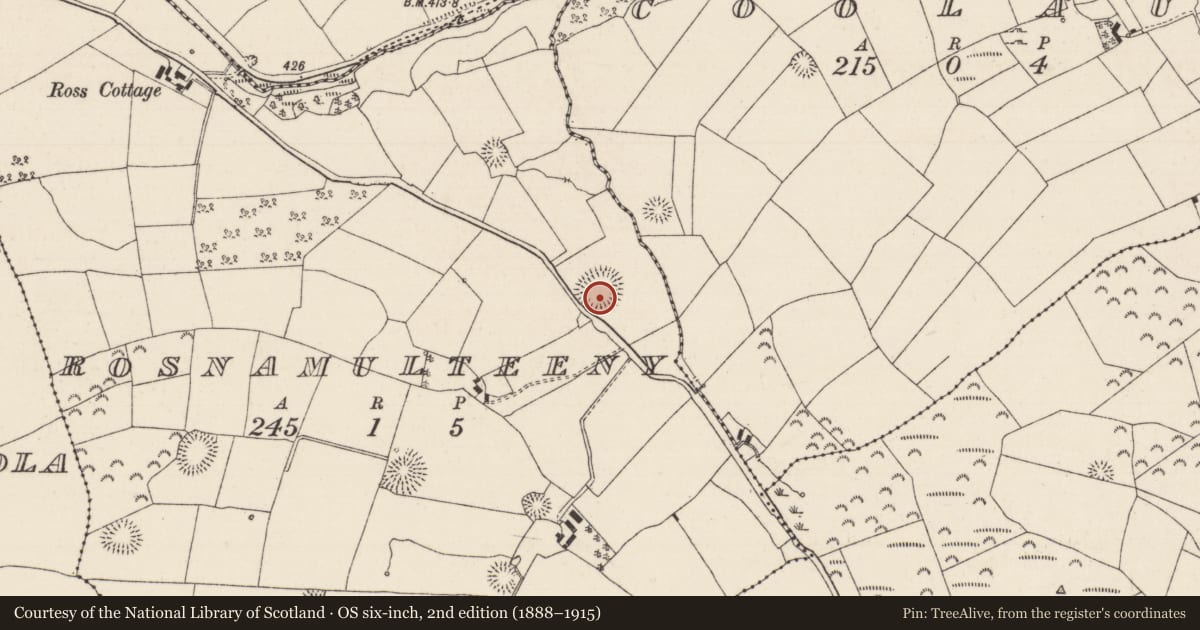 Ordnance Survey six-inch map, 2nd edition (1888–1915) covering the location of Enclosure, Rosnamulteeny, County Tipperary North, with a pin at the register's coordinates
