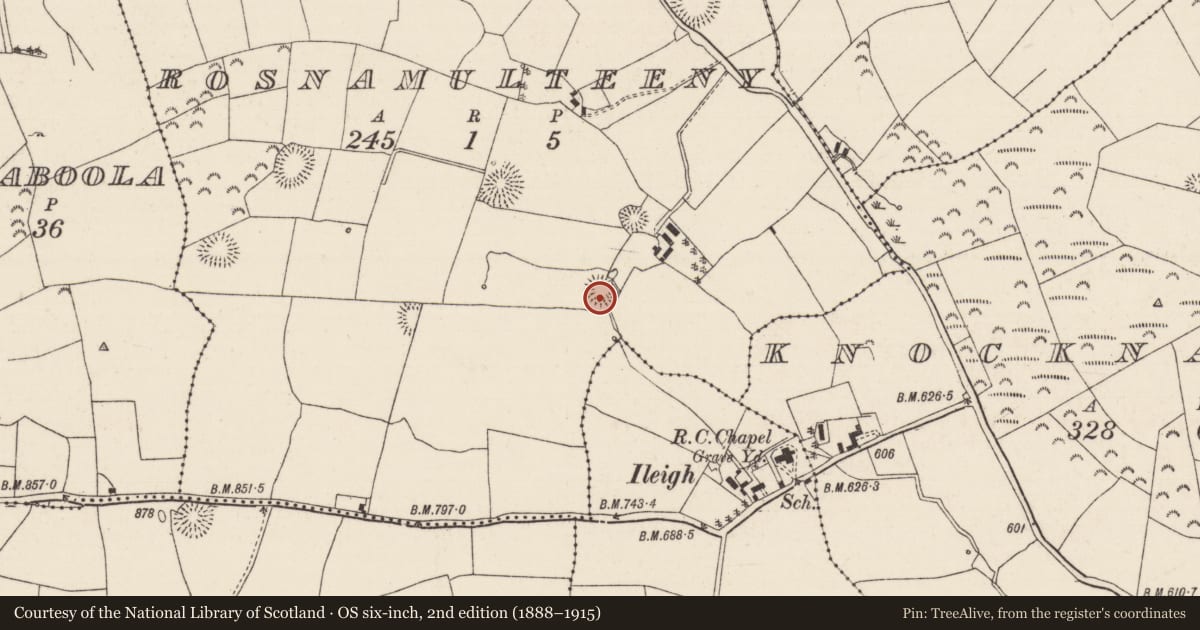 Ordnance Survey six-inch map, 2nd edition (1888–1915) covering the location of Ringfort - rath, Rosnamulteeny, County Tipperary North, with a pin at the register's coordinates