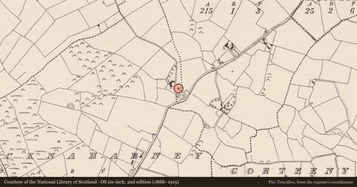 Ordnance Survey six-inch map, 2nd edition (1888–1915) covering the location of Enclosure, Knocknaharney, County Tipperary North, with a pin at the register's coordinates