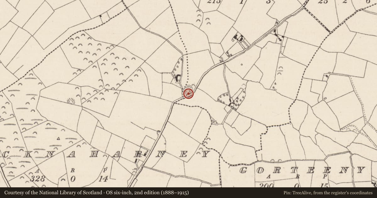 Ordnance Survey six-inch map, 2nd edition (1888–1915) covering the location of Ringfort - rath, Knockanevin, Knocknaharney, County Tipperary North, with a pin at the register's coordinates