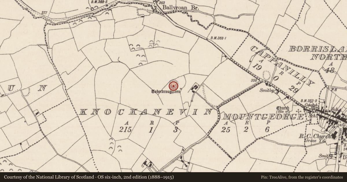 Ordnance Survey six-inch map, 2nd edition (1888–1915) covering the location of Enclosure, Knockanevin, County Tipperary North, with a pin at the register's coordinates