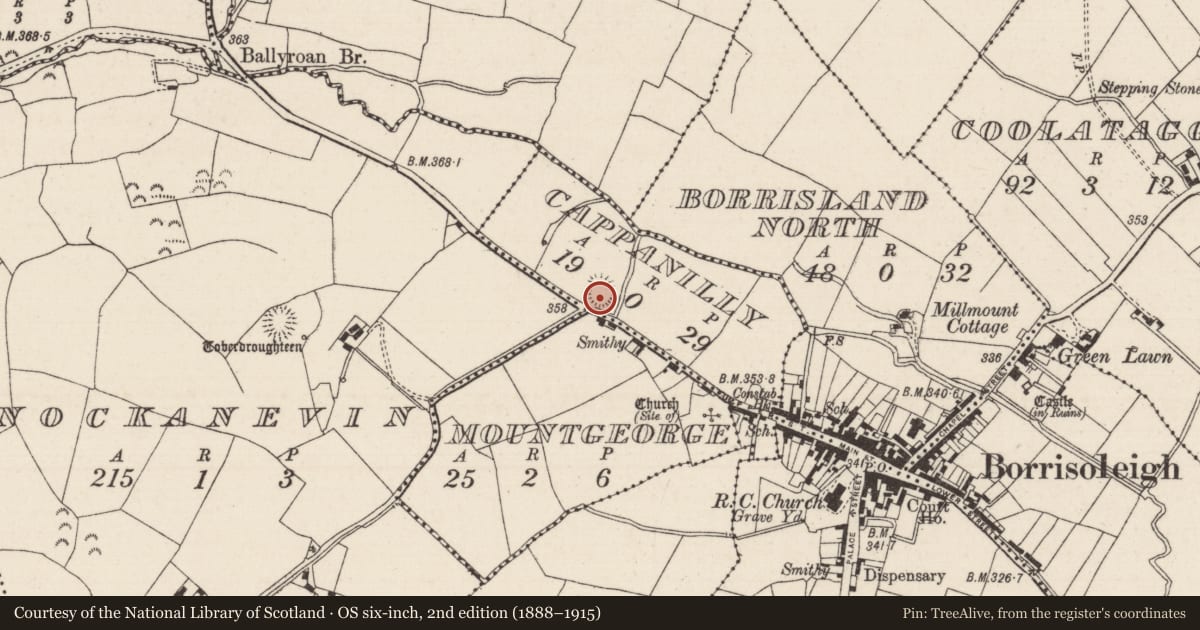 Ordnance Survey six-inch map, 2nd edition (1888–1915) covering the location of Enclosure, Cappanilly, County Tipperary North, with a pin at the register's coordinates