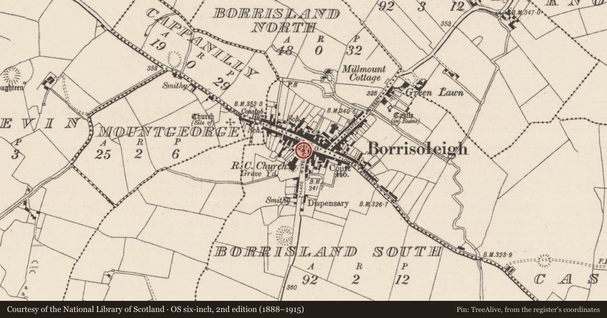 Ordnance Survey six-inch map, 2nd edition (1888–1915) covering the location of Historic town, County Tipperary North, with a pin at the register's coordinates