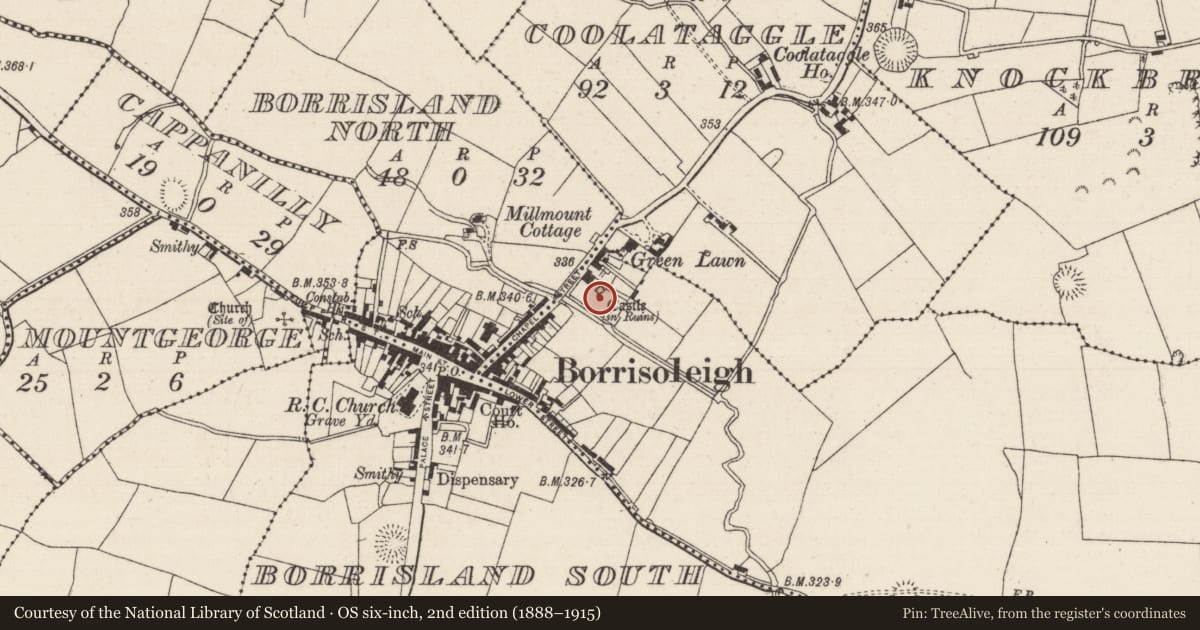 Ordnance Survey six-inch map, 2nd edition (1888–1915) covering the location of Castle - tower house, Borrisland North, County Tipperary North, with a pin at the register's coordinates
