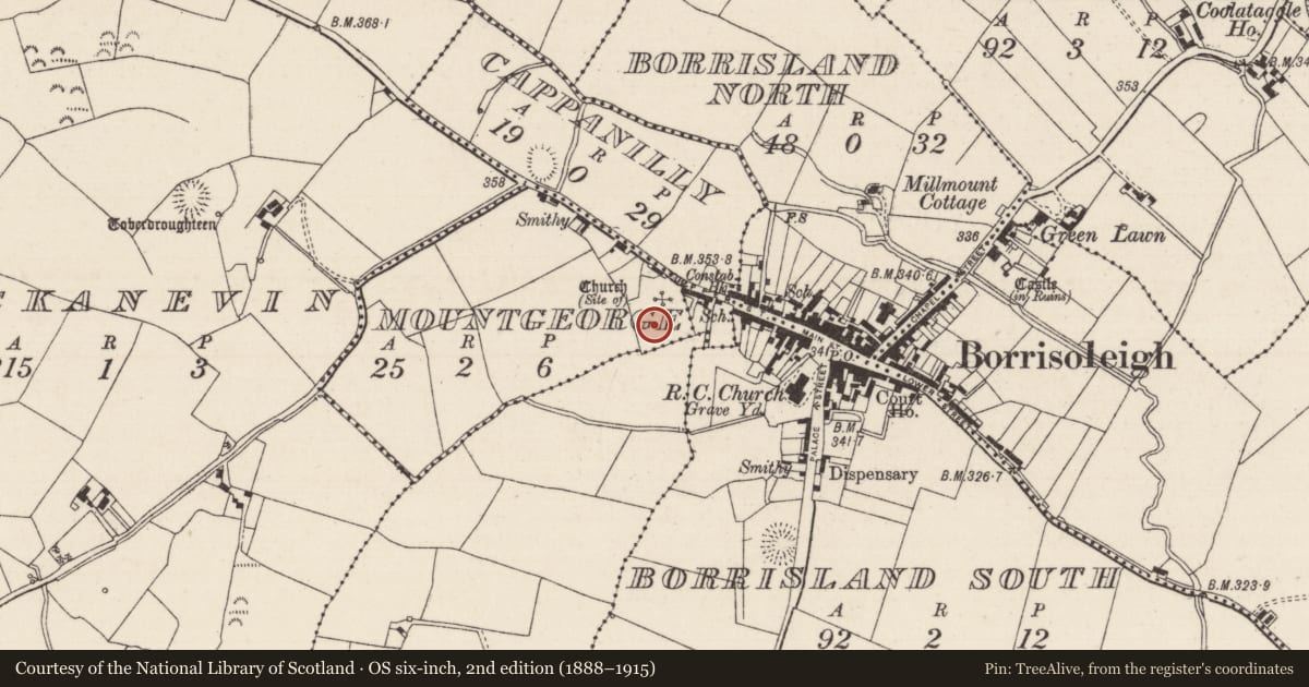 Ordnance Survey six-inch map, 2nd edition (1888–1915) covering the location of Graveyard, Borrisland North, County Tipperary North, with a pin at the register's coordinates