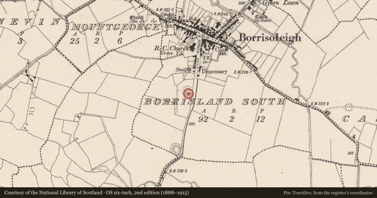 Ordnance Survey six-inch map, 2nd edition (1888–1915) covering the location of Ringfort - rath, Borrisland South, County Tipperary North, with a pin at the register's coordinates